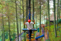 Liburan Hemat di Dago Dreampark Bandung, Cukup Bayar Rp130 Ribuan Bisa Coba Semua Wahana 