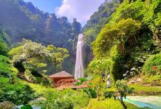 Destinasi Alam Terbuka Paling Asri untuk Healing dan Melepas Penat, Curug Terbaik di Bandung Barat