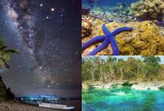 Ramai dan Menarik! Tempat Wisata Polewali Mandar 2025, Cocok Untuk Menemani Liburan Akhir Pekan