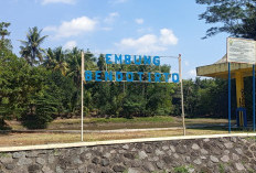 Kemarau Picu Embung Bendotirto Mengering, Warga Balecatur Khawatir Cadangan Air Terus Menyusut