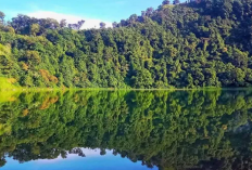 Menikmati Pesona Danau Alami yang Tenang dan Eksotis, Keindahan Ranu Bedali Lamongan
