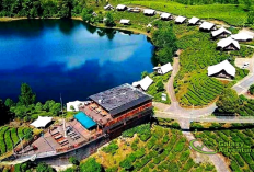 Liburan Akhir Tahun 2025, Yuk Eksplorasi Perkemahan Klasik dengan Daya Tarik Satwa