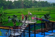 Pesona Pariwisata Destinasi Strategis dan Sejuk di Jalur Surabaya-Malang, Berikut Informasi Selengkapnya