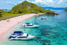 Daftar Destinasi Estetik Utama dan Pesona Alam Pulau Flores, Simak Informasi Lengkapnya Berikut