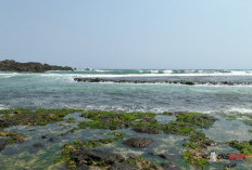 Pantai Siung, Perpaduan Tebing Eksotis, Debur Ombak, dan Petualangan di Selatan Gunungkidul