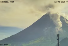 Aktivitas Gunung Merapi Meningkat, Awan Panas Guguran Terpantau Beruntun Empat Kali