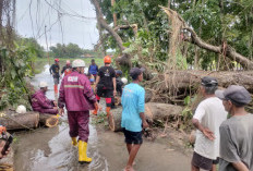 Jembatan Winongo Bantul Tergerus Sungai, BPBD Tutup Sementara dan Masyarakat Diminta Gunakan Jalur Alternatif