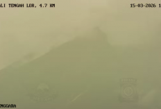 Awan Panas Guguran Merapi Meluncur 1,5 Km ke Kali Putih, BPPTKG Ingatkan Potensi Awan Panas dan Lahar Hujan