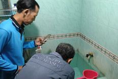 Kasus DBD di Kota Yogyakarta Turun, Dinkes Tetap Waspada Wilayah Endemis Dengue