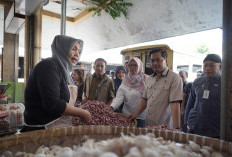 Satgas Saber DIY Sidak Pasar Beringharjo, Cegah Penimbunan Pangan Belang Ramadan