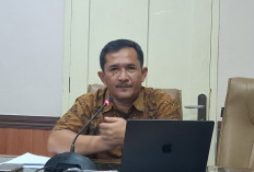 DPRD DIY Ungkap Dana Desa 2026 Belum Cair, Minta Menteri Keuangan Bertindak