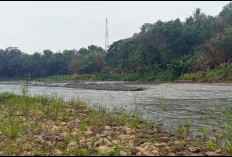 Bibir Sungai Progo Sepanjang 1,9 Kilometer, Dusun Cawan Siapkan Wisata Alam Terpadu