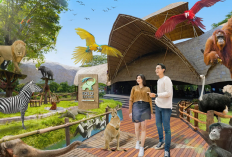 Wajah Baru Wisata Konservasi Solo Safari 2026 Penuh Adrenaline dan Edukasi, Berikut Informasi Selengkapnya