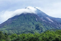 Pendakian Gunung Merapi Masih Ditutup, 67 Pendaki Ilegal Nekat Masuk Kawasan Terlarang Hingga Juni 2026