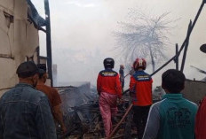 Satpol PP Brebes Sebar Relawan Damkar 17 Kecamatan, 5 Posko Disiagakan Antisipasi Kebakaran