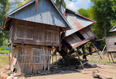 Gempa M 7,7 Guncang NTT, Warga Sambi Rampas Butuh Bantuan Medis dan Logistik