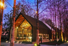 Kulineran Asik Ini Daftar Restoran Bernuansa Alam dan Estetik di Solo Raya