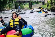Menjelajah Keindahan Agrowisata Sitalang Salatiga, Oase Hijau Bersama Keluarga