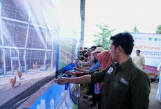 Difabel Muhammadiyah Kembangkan Telur Moe, Produk Telur Bersertifikasi Internasional Pertama di Dunia