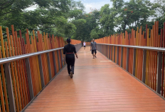 Melepas Penat di Jakarta Selatan, Berikut Taman Cantik yang Bisa Dikunjungi 