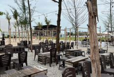 Batam Punya Rekomendasi Menikmati Kopi, Roastery Dengan Desain Interior Paling Memikat