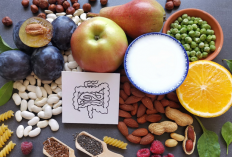 Ampuh, Coba Konsumsi Makanan Tinggi Serat Untuk Melancarkan BAB Simak Info Lengkapnya Berikut Ini