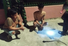 Clurit Dibuang ke Semak-semak, Dua Pria Diamankan Polisi di Sedayu