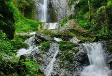 Eksplorasi Keajaiban Alam Kediri, Berikut Destinasi Alam Paling Estetik 2025