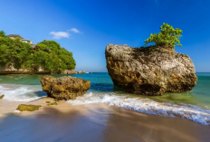 Hidden Gem Pesisir Uluwatu Mulai Dari Spot Selancar Sampai Sudut Terpencil