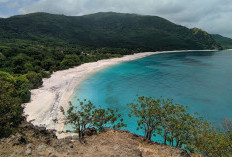 Wisata Indah Pantai Lingal Alor: Daya Tarik, Tiket Masuk, Lokasi dan Tips Liburan Lengkap