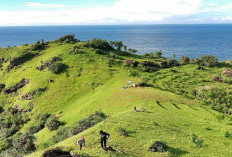 5 Pilihan Tempat Wisata di Gunungkidul dengan View Alam Menarik Memanjakan Mata, Cek Disini