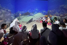 Kunjungan Wisata Edukasi Masih Kuat, Taman Pintar Bukukan 720 Ribu Pengunjung