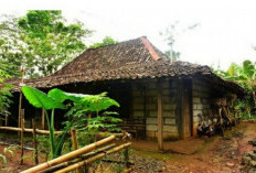 Kampung Pitu, Desa yang Hanya Memiliki Tujuh Rumah di Puncak Karst Gunungkidul