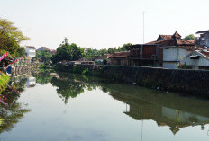 Dermaga Cinta Gajahwong Berpotensi Aktif Lagi, Wisata Perahu Segera Dikaji