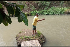 Suaka Perikanan Sungai Konteng Jadi Solusi Jaga Populasi Ikan Lokal di Sedayu Bantul