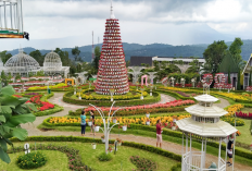 Rekomendasi Destinasi Wisata Hits di Semarang dengan Promo Kemerdekaan