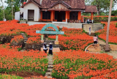 Destinasi Wisata Favorit untuk Liburan Sekolah yang Seru dan Edukatif di Gunungkidul