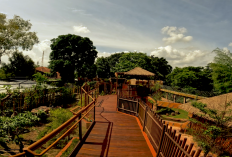  Zona Cakar Gembira Loka Zoo Hadirkan Rubah Merah dan Anjing Liar Afrika saat Lebaran 2026