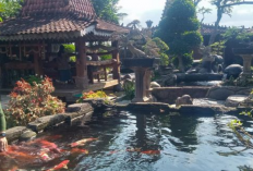 Wisata Kuliner Klaten Terpopuler Tempat Makan Enak dan Murah di Sekitar Umbul Ponggok 