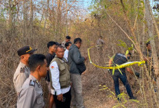 Kerangka Manusia di Guwosari Bantul Diperkirakan Sudah 4-5 Bulan, Identitas Masih Misterius