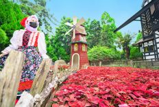 Wisata Bandung Rasa Luar Negeri Paling Wajib Dikunjungi Saat Libur Sekolah, Murah dan Estetik!