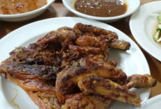 Pilihan Rekomendasi Ayam Bakar Taliwang Paling Enak di Bali, Surga Pedas Gurih 