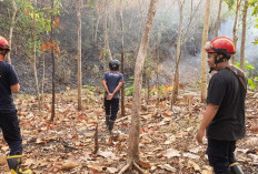 Kebakaran Gunung Gedhe Imogiri Belum Padam Total, Warga dan Petugas Masih Pantau Titik Api
