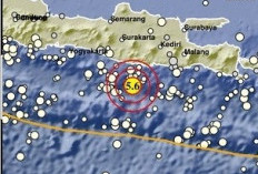 Breaking News!! Gempa M5,3 Guncang Pacitan, Getaran Terasa hingga Yogyakarta, BMKG: Tidak Berpotensi Tsunami