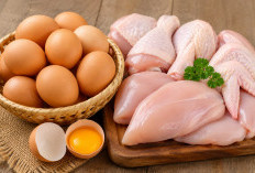 Libur MBG Picu Harga Telur dan Ayam Turun, Ibu Rumah Tangga Senang, Peternak Mulai Waswas