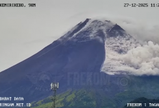 Awan Panas Guguran Merapi Luncur 2 Km ke Kali Krasak, Warga Diminta Waspada