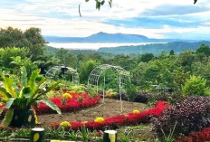 Menemukan Wisata Keluarga Kedamaian di Taman Betung yang Asri dan Terjangkau di Bandar Lampung