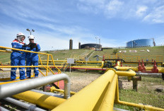 Pertamina Hulu Energi Jaga Kinerja di Awal 2026, Produksi Migas Capai 956 MBOEPD Jadi Bukti Konsistensi