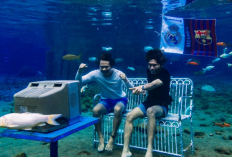 Kunjungi Pesona Klaten, Keajaiban Bawah Air Umbul Ponggok Paling Indah dan Estetik