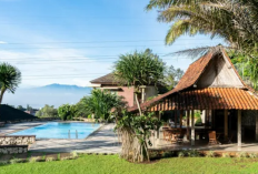 Spot Destinasi Liburan Terbaik Wisata Subang Paling Hits dan Instagramable yang Wajib Dikunjungi